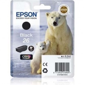 Epson Serie Orso Polare 26...