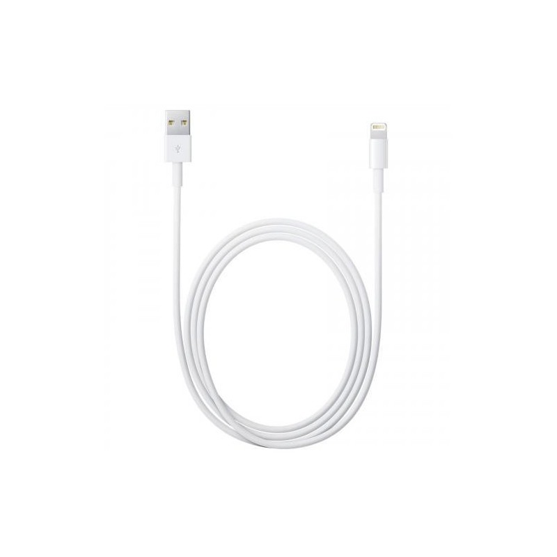 [OLD] Apple Cavo da Lightning a USB 1 Mt per Ricarica e Sincronizzazione